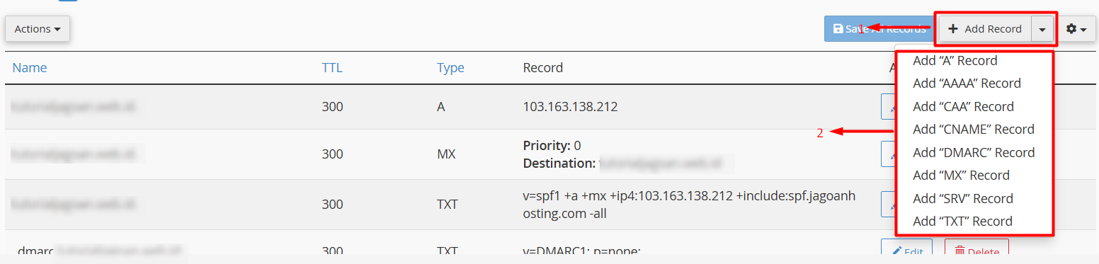 opsi-add-record-manage-dns-setting opsi-add-record-manage-dns-setting