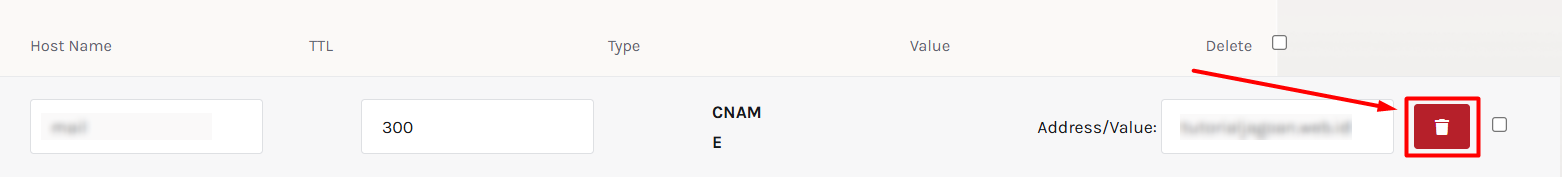 hapus-CNAME-record