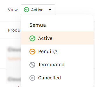 filter-view-status-domain