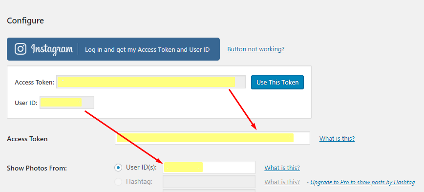 5-masukkan-akses-token-user-id