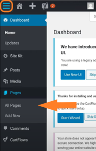 Tampilan Menu All Pages Di Wordpress