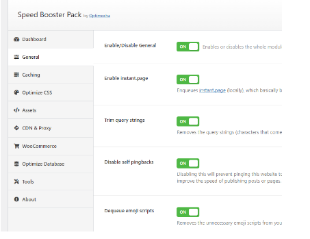 Setting Plugin Speed Booster