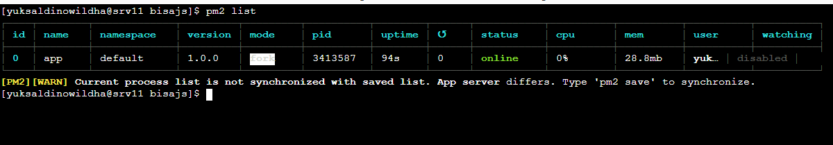 pm2 py pm2 py