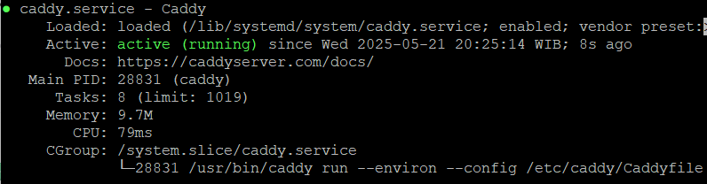 1-periksa-status-caddy-cara-instal-caddy-web server-vps-ubuntu 1-periksa-status-caddy-cara-instal-caddy-web server-vps-ubuntu