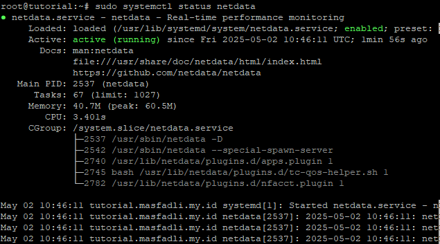 1-perintah-status-netdata-install-vps 1-perintah-status-netdata-install-vps