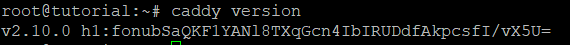 2-periksa-versi-caddy-cara-instal-caddy-web server-vps-ubuntu 2-periksa-versi-caddy-cara-instal-caddy-web server-vps-ubuntu