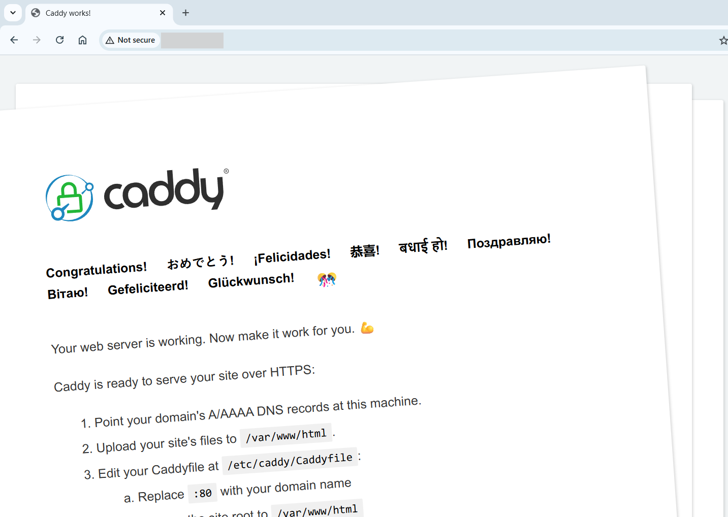 3-halaman-default-caddy-cara-instal-caddy-web server-vps-ubuntu 3-halaman-default-caddy-cara-instal-caddy-web server-vps-ubuntu