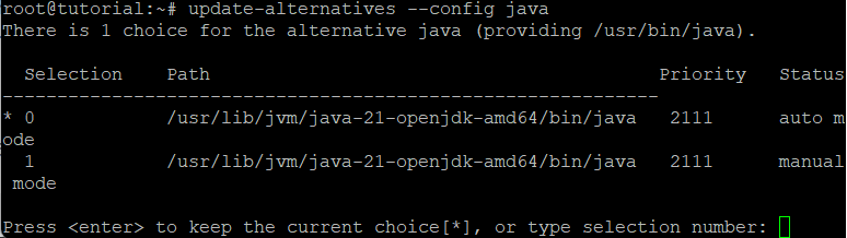3-periksa-instalasi java-cara-instal-java-vps-ubuntu 3-periksa-instalasi java-cara-instal-java-vps-ubuntu