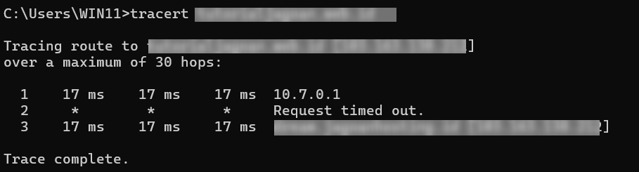 2-hasil-traceroute-di-windows