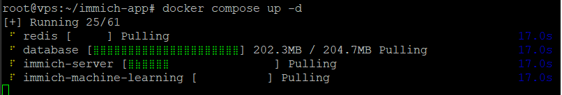 2-jalankan-docker-untuk-immich