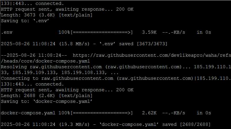 2-output-install-waha