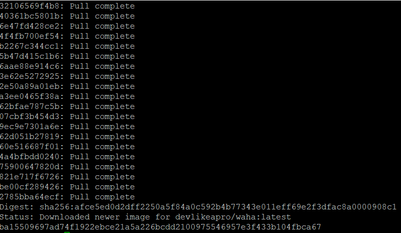 3-output-run-waha