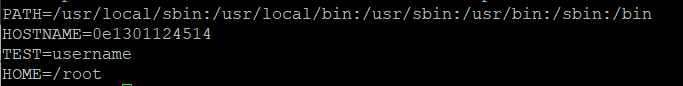 5-environment-variable-env
