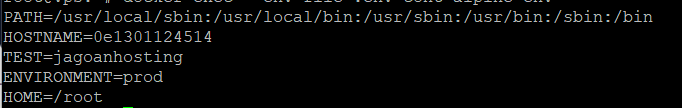 6-environment-variable-file-env