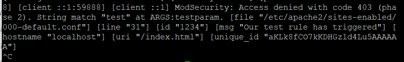 9-error-log-mod-security