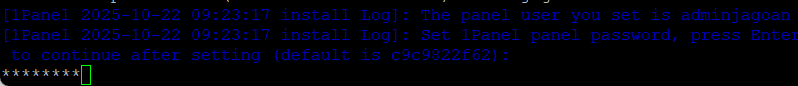setting-password-1panel setting-password-1panel